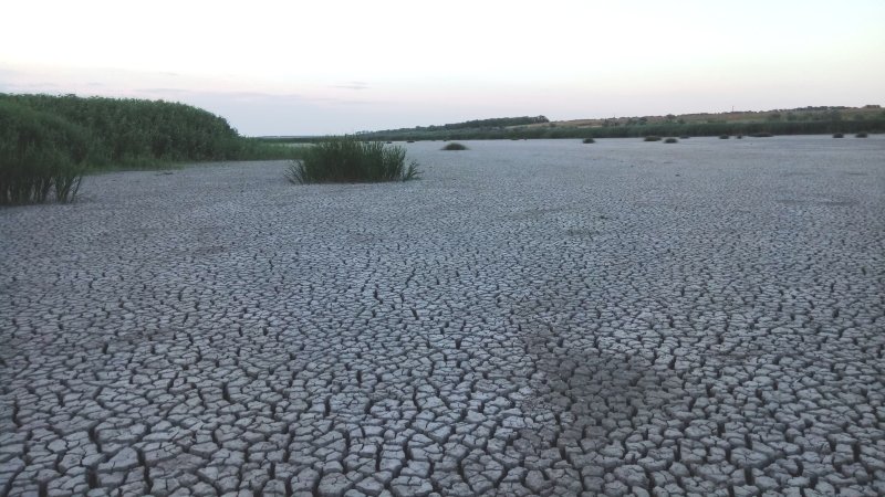 Страшний діагноз - "зневоднення" і "мертвий об'єм":  як будуть “реанімувати” придунайськi озера
