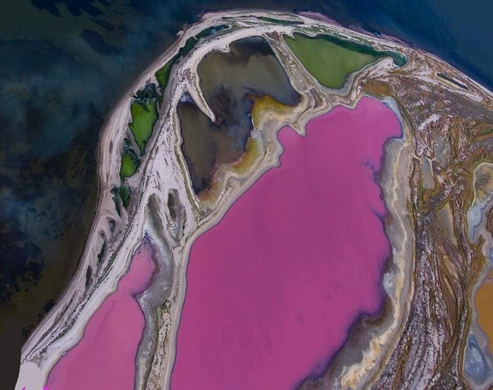 У Національному парку "Тузловські лимани" пересихають дивовижні озера