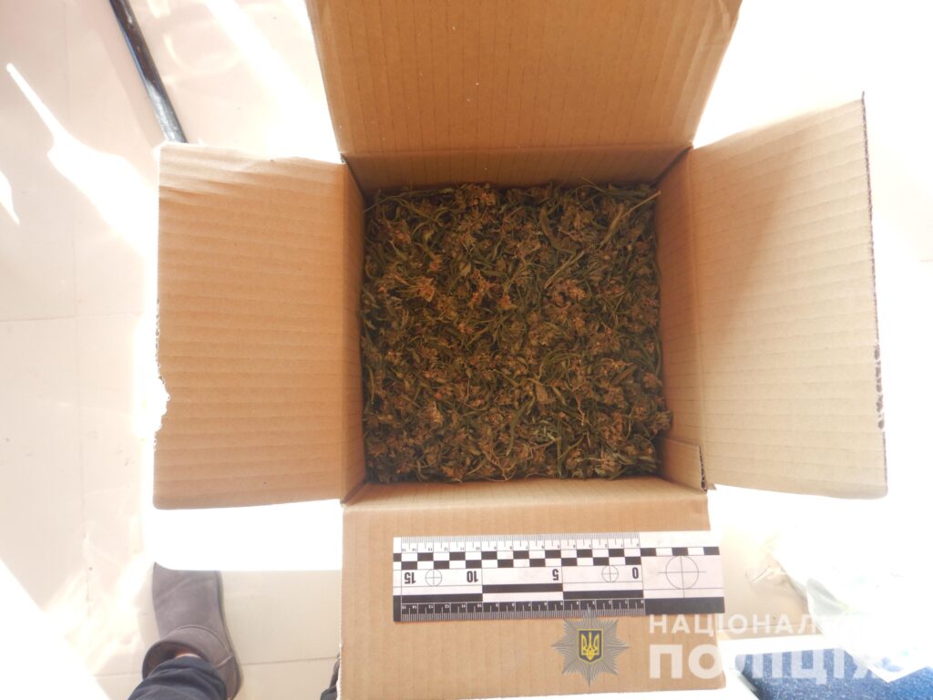 Три кілограма канабіса та пістолет з набоями: житель Білгород-Дністровського району "попався" на зберіганні зброї та наркотиків