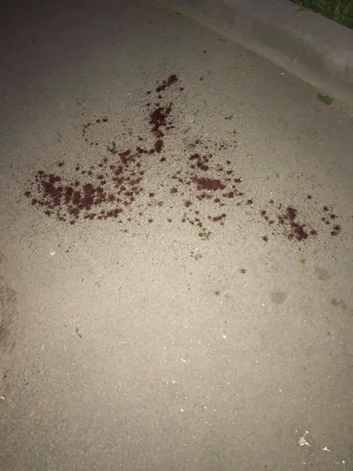 Минулої ночі жителів спального району Аккерману налякала стрілянина: є постраждалі