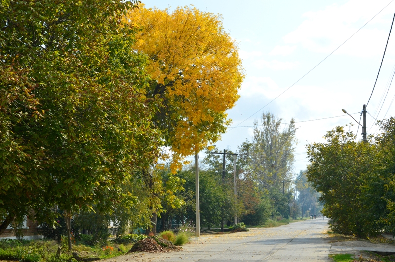 Жаркий октябрьский день с привкусом пепла и алым солнцем над Килией - фоторепортаж с улиц осеннего города