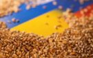 Україна зазнає болючої втрати, якщо вступить до Євросоюзу, – ЗМІ