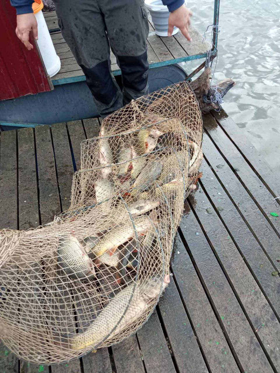 Понад 40 кіло риби повернули до водойм: на Дністрі та Ялпузі затримали браконьєрів