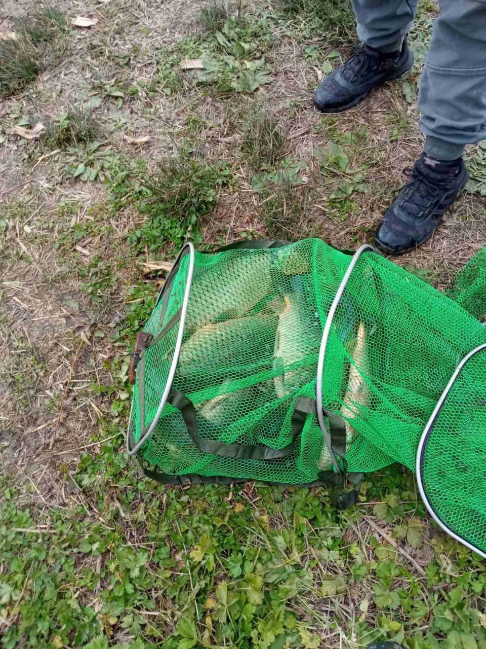 Более 40 кг рыбы вернули в водоемы: на Днестре и Ялпуге задержали браконьеров
