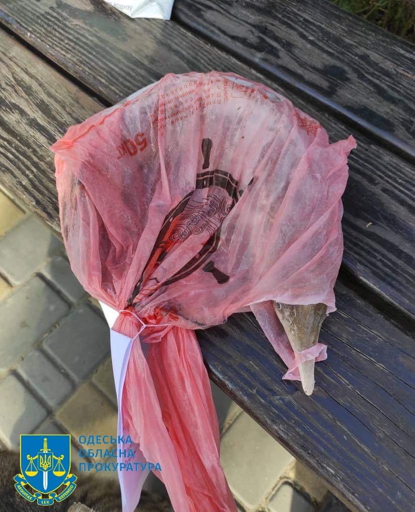 У жителей Вилкового изъяли незаконно выловленную краснокнижную рыбу и более трех килограммов черной икры