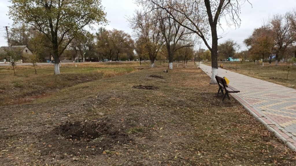 В Арцизі оголосили грошову винагороду за пошук вандалів, які зламали саджанці нещодавно висаджених дерев