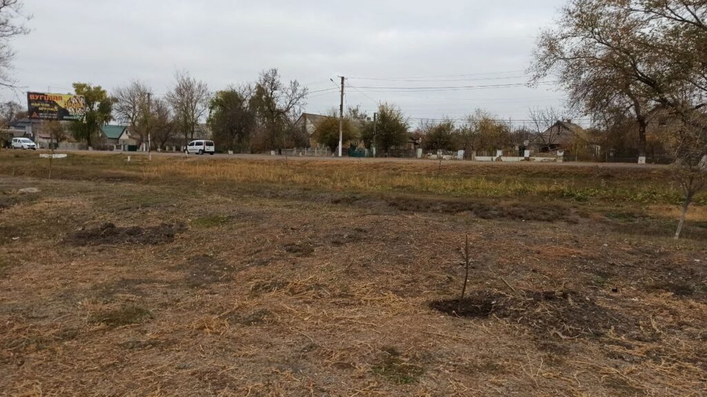 В Арцизі оголосили грошову винагороду за пошук вандалів, які зламали саджанці нещодавно висаджених дерев