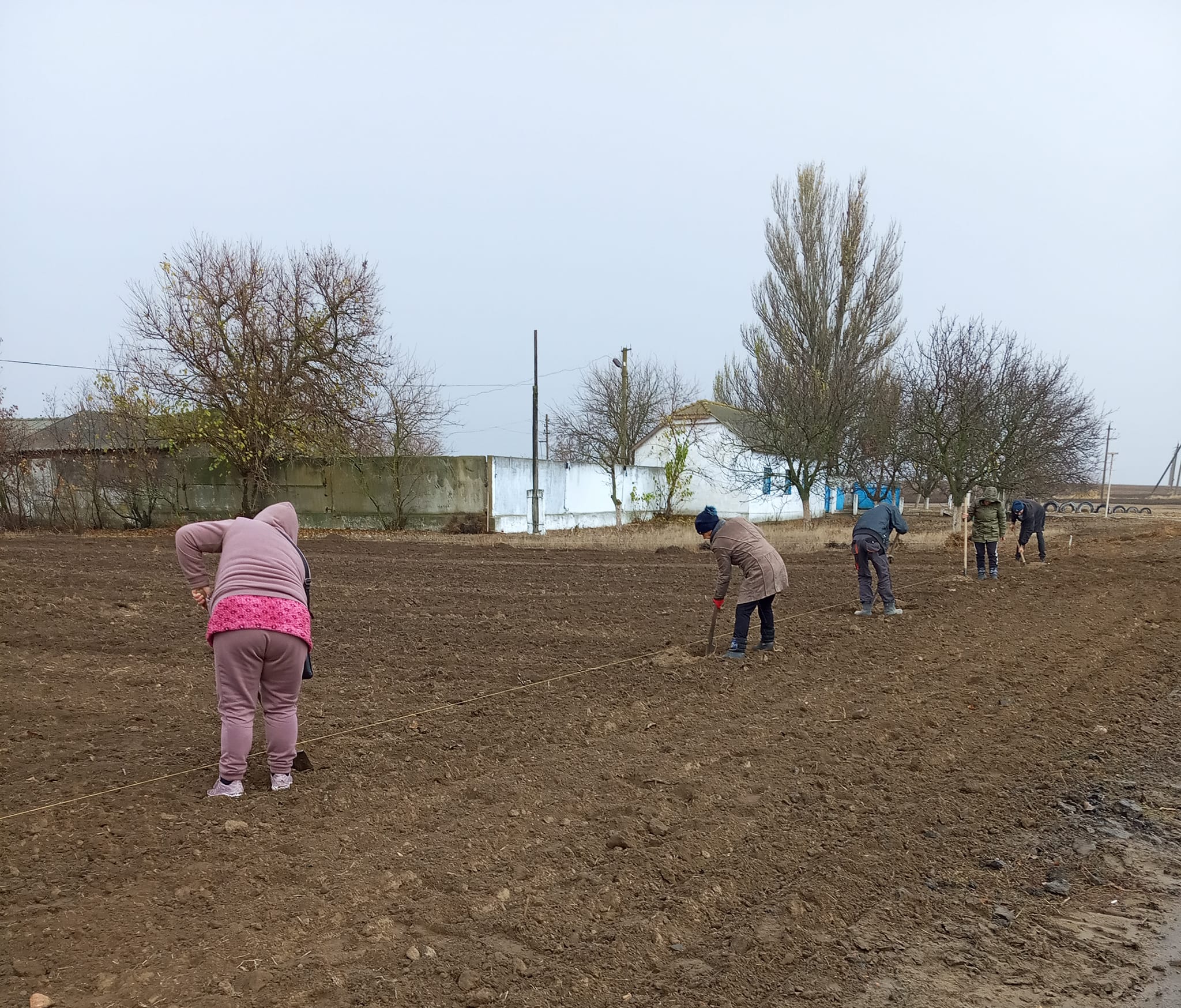 На в'їзді до села Кілійської громади розбили горіховий сад за кошти екс-старости, яка виїхала за кордон через війну