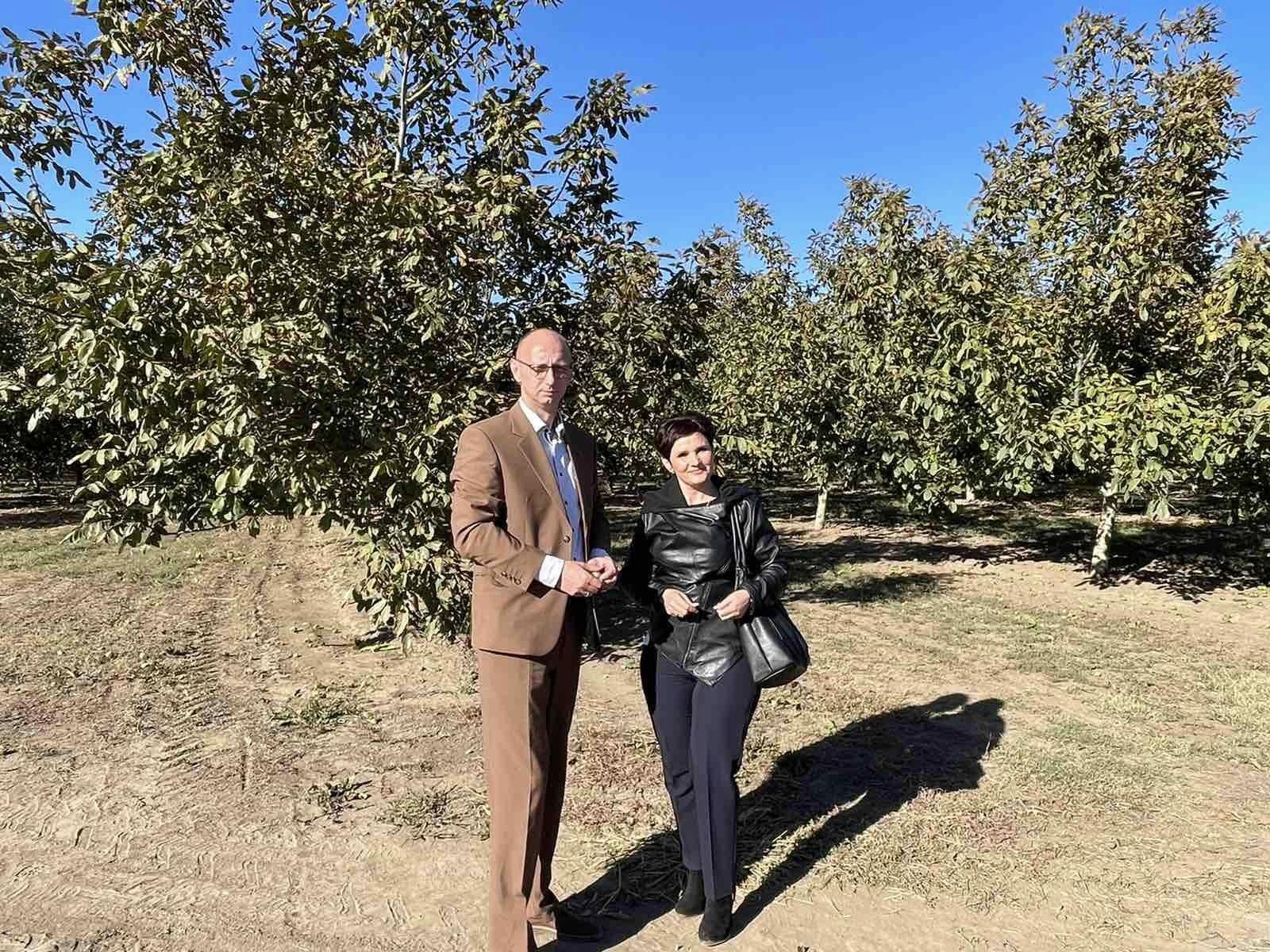 Фермер з Ізмаїльського району проміняв зернові поля на унікальний горіховий сад з 17 тисяч дерев, створив переробку і постачає врожай в Європу