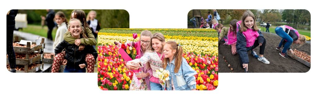 500 луковиц – каждой школе: нидерландские благотворители реализуют в Украине проект по озеленению украинских школ цветами