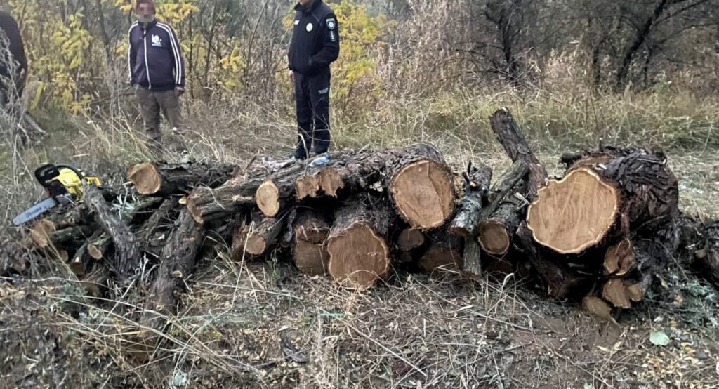 53-річного жителя Татарбунарської громади, якого викрили на незаконній порубці дерев, притягнуть до кримінальної відповідальності