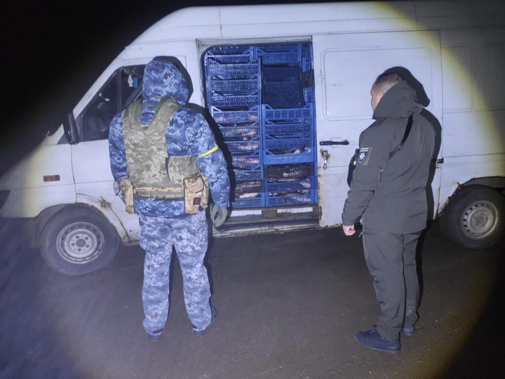 Майже 800 кіло товстолобів: у Білгород-Дністровському районі затримали бус, повний рибою невідомого походження