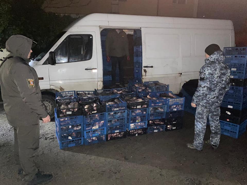 Майже 800 кіло товстолобів: у Білгород-Дністровському районі затримали бус, повний рибою невідомого походження