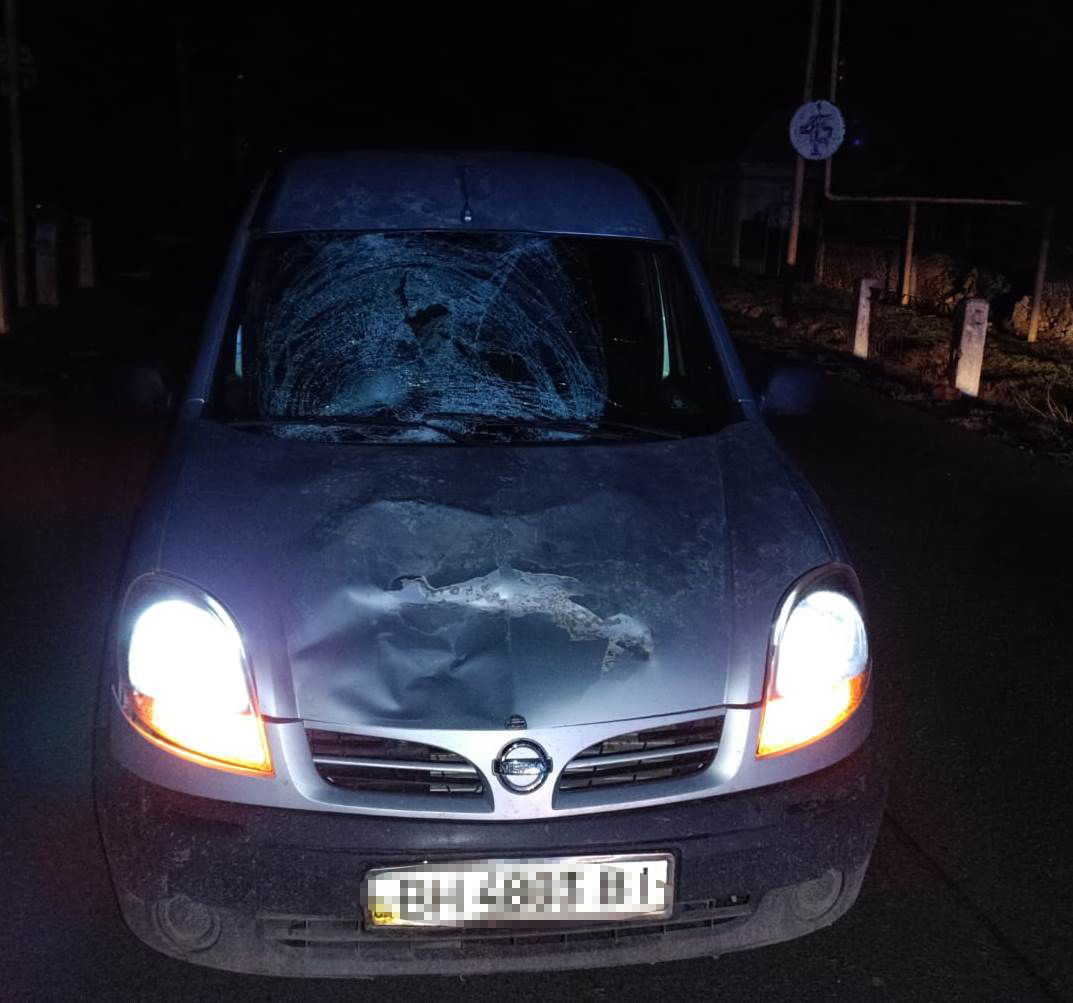Не помітив у темряві: в селі Болградського району Nissan збив насмерть літнього чоловіка, який йшов дорогою в темному одязі