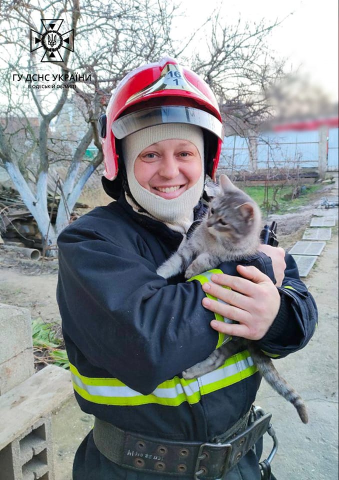 Вибіг прямо в руки: пожежники врятували кошеня з палаючого приміщення в селі Білгород-Дністровського району