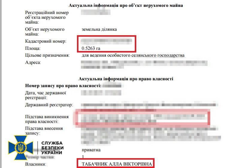 СБУ арештувала майно екс-міністра освіти часів януковича на понад 2 млн доларів