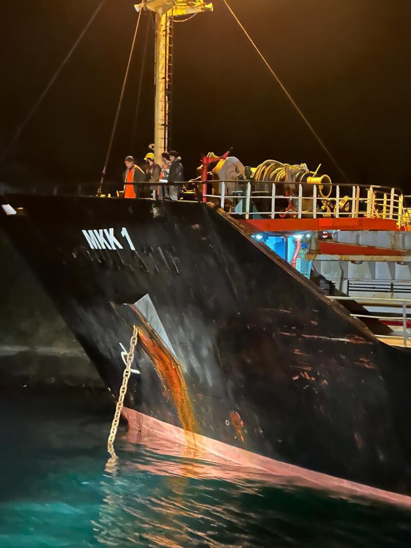Сіло на мілину: суховантажне судно з України перекрило рух у Босфорі
