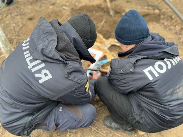 Съела несколько кур: житель Одесской области застрелил собаку соседки в ее дворе