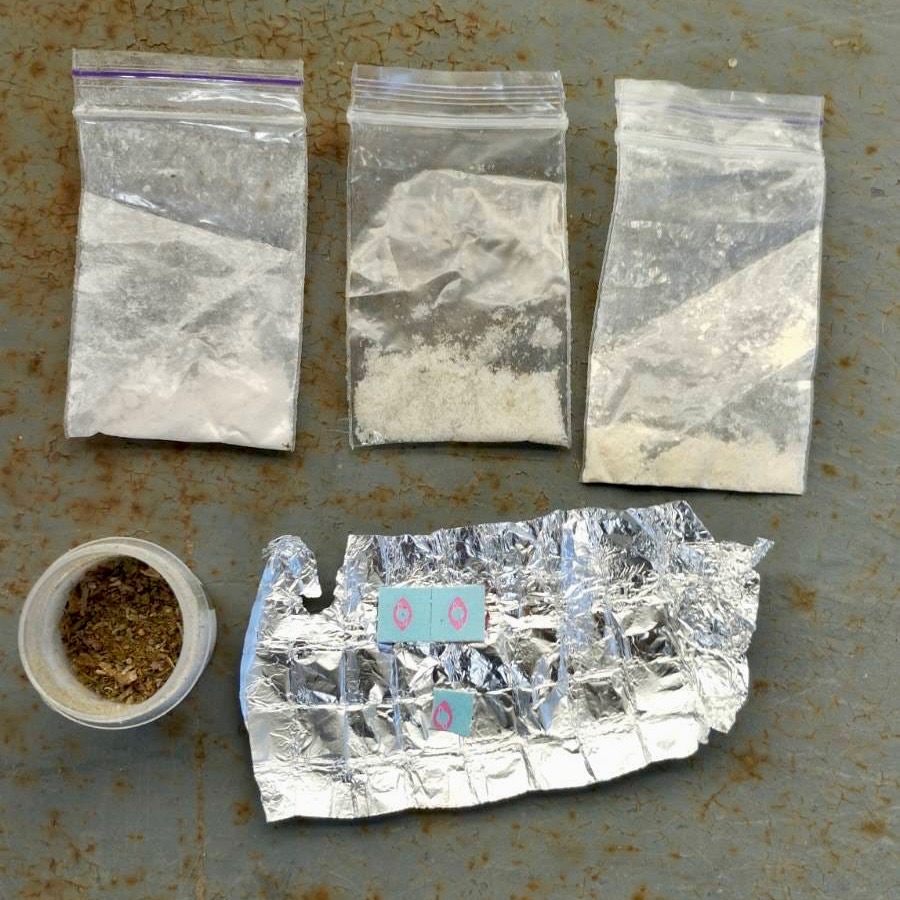 Марихуана, амфетамін та "ЛСД": чотирилапа Рісі допомогла аккерманським прикордонникам виявити наркотики