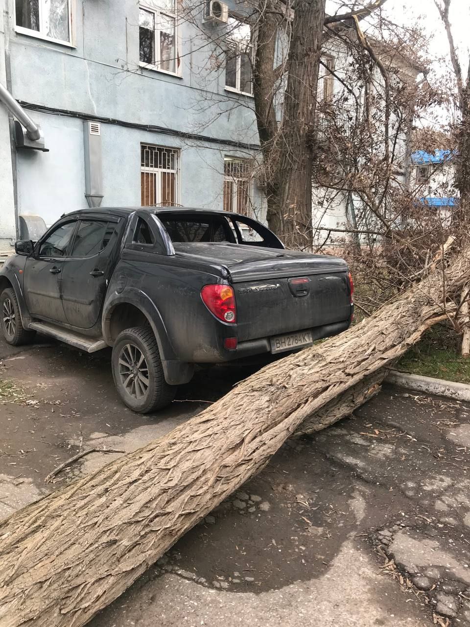 Зірваний дах школи та дерева, що впали на авто, - наслідки негоди в Одеській області