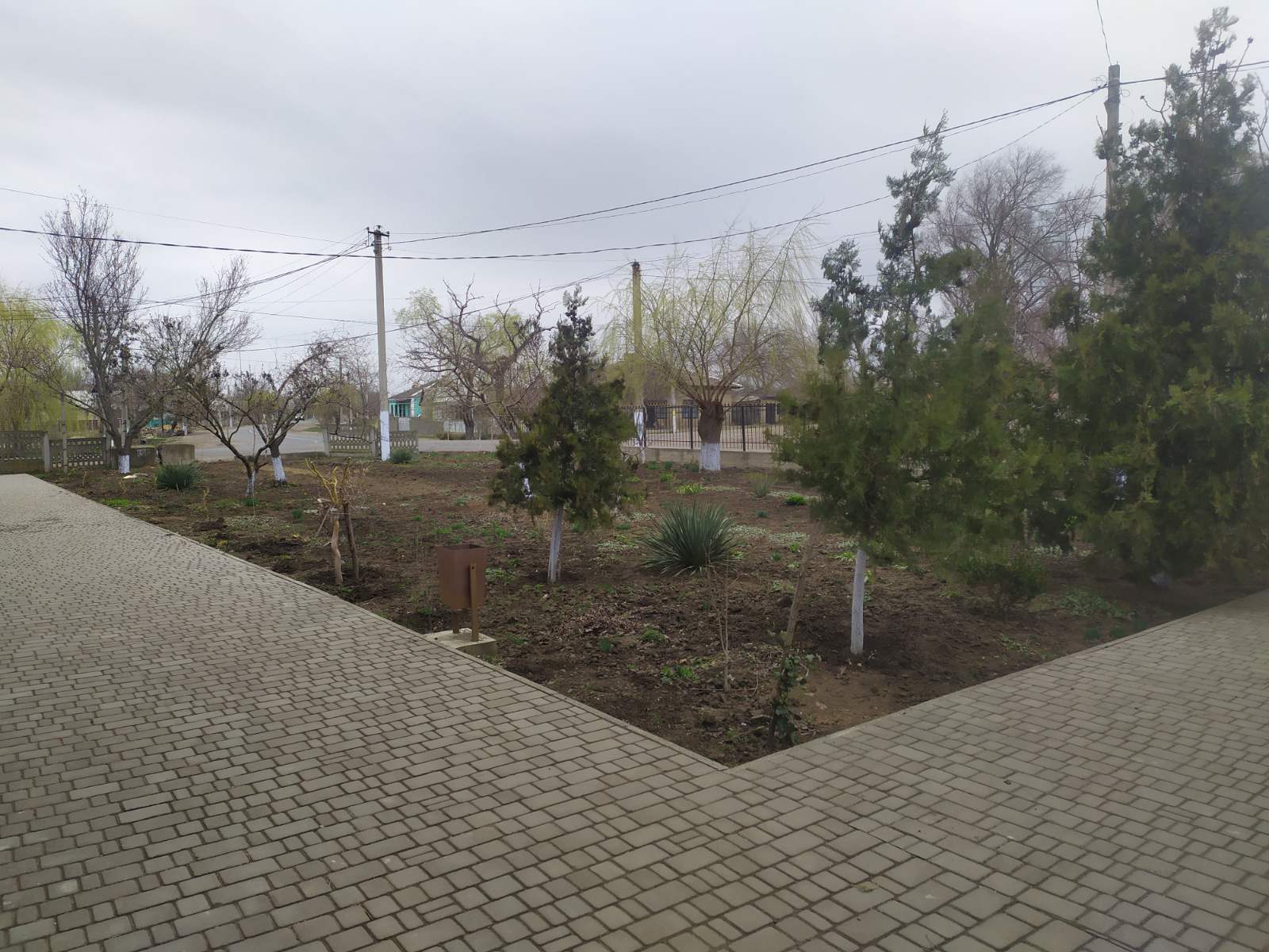 В селе Тарутинского общества проходит большое озеленение центра