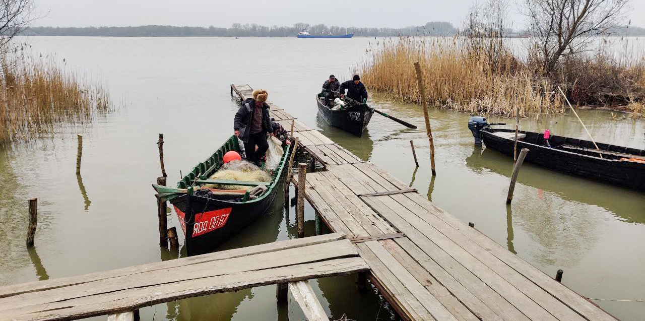 Вилковские рыбаки достигли возможности выходить на воду для отлова дунайской сельди