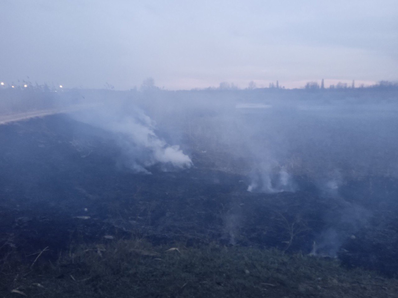 В Измаиле сегодня снова горело Лебяжье озеро