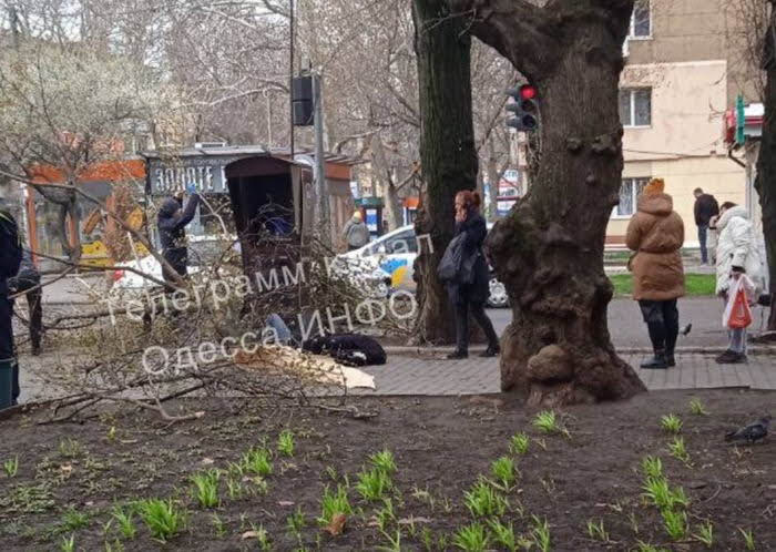 Сломанные ноги и ветки – на головы: порывистый ветер в Одессе привел к травматизму среди прохожих на улицах