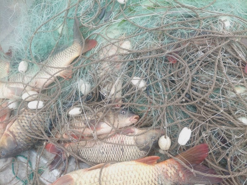 Рыболов в заповедной зоне: в водах Днестровского лимана разоблачили браконьера, нанесшего ущерб на 700 тыс. гривен