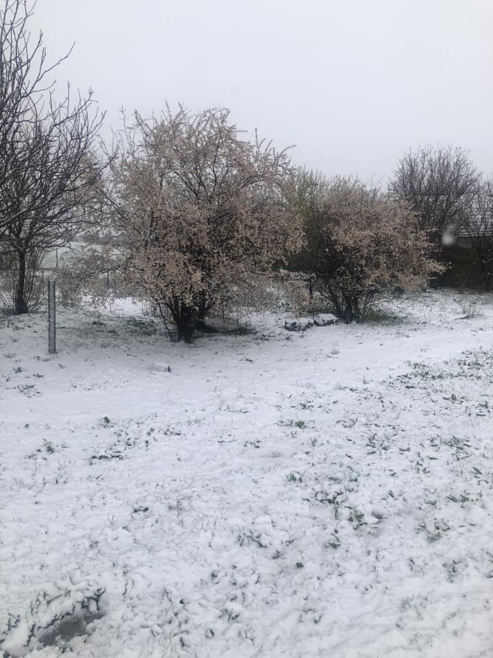 Зима в апреле: в поселке Тарутино неожиданно выпал снег (фотофакт)