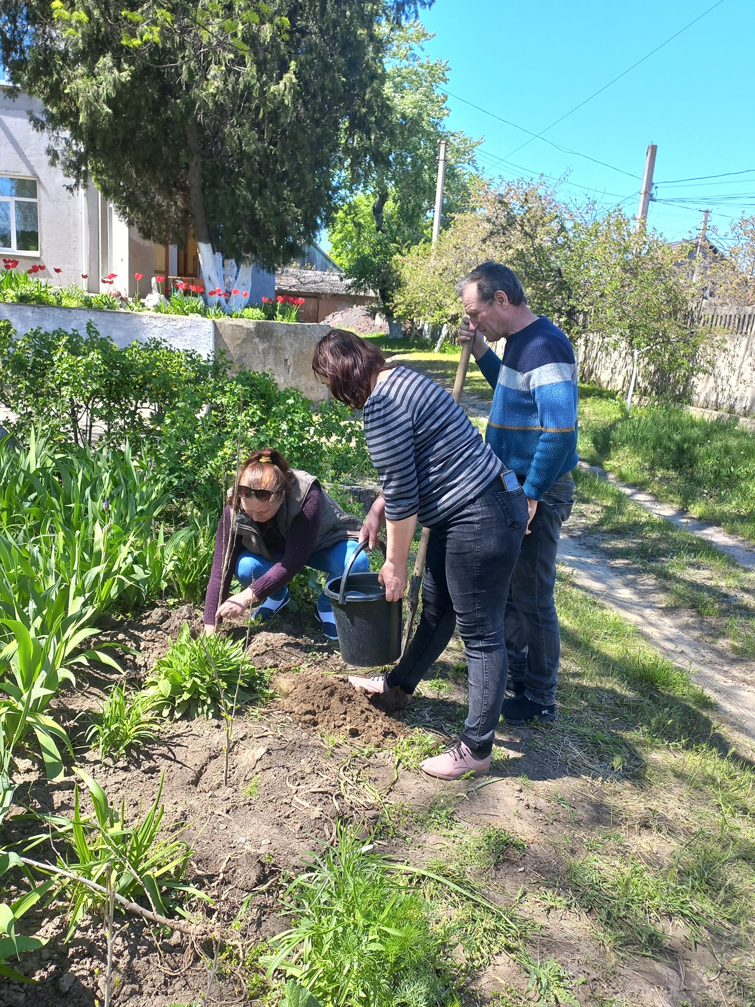 У Білгороді-Дністровському висадили Алею Миру   