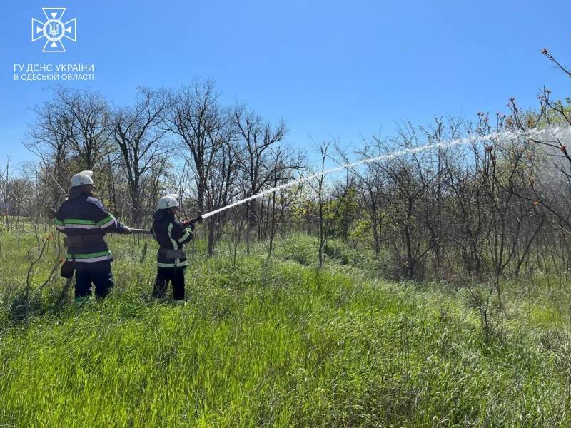Масштабні тренування у Білгород-Дністровському районі - екстрені служби навчались ефективно реагувати при лісових пожежах