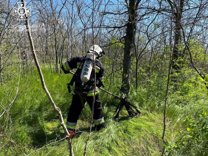 Масштабные тренировки в Белгород-Днестровском районе - экстренные службы учились эффективно реагировать при лесных пожарах