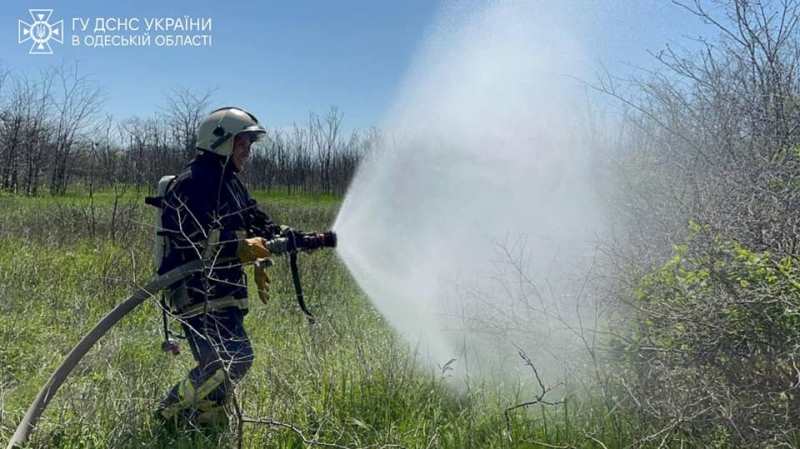 Масштабные тренировки в Белгород-Днестровском районе - экстренные службы учились эффективно реагировать при лесных пожарах