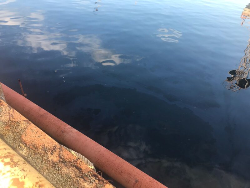 Перевищення вмісту нафтопродуктів у воді - в 70 разів: на Одещині судно забруднило Сухий лиман
