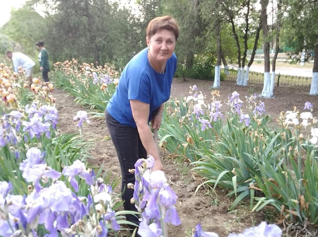 Ирисовый рай в Тузловской общине: прошла традиционная встреча «цветочных фей»