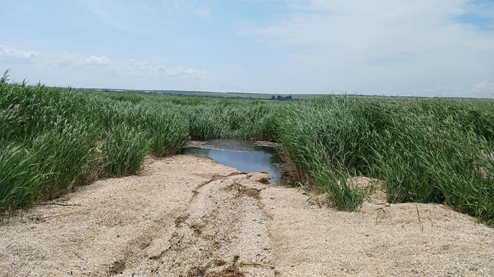 Озеро Молога планируют восстановить – начальник Управления Госрыбагентства в Одесской области