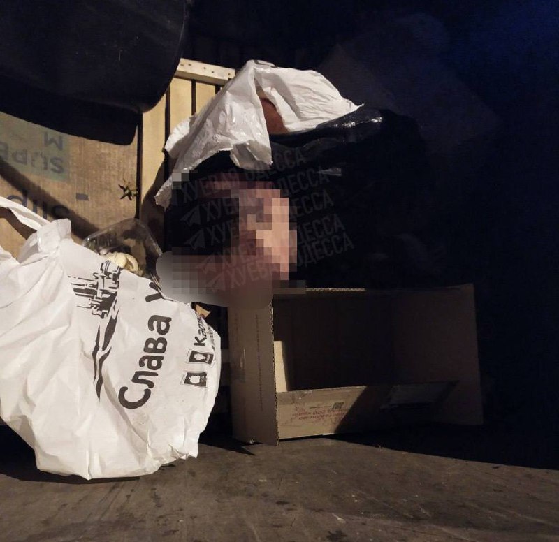 Жуткое убийство на Одесщине: расчленили женщину - голову и части тела разбрасывали по мусорным контейнерам, а внутренности слили в унитаз