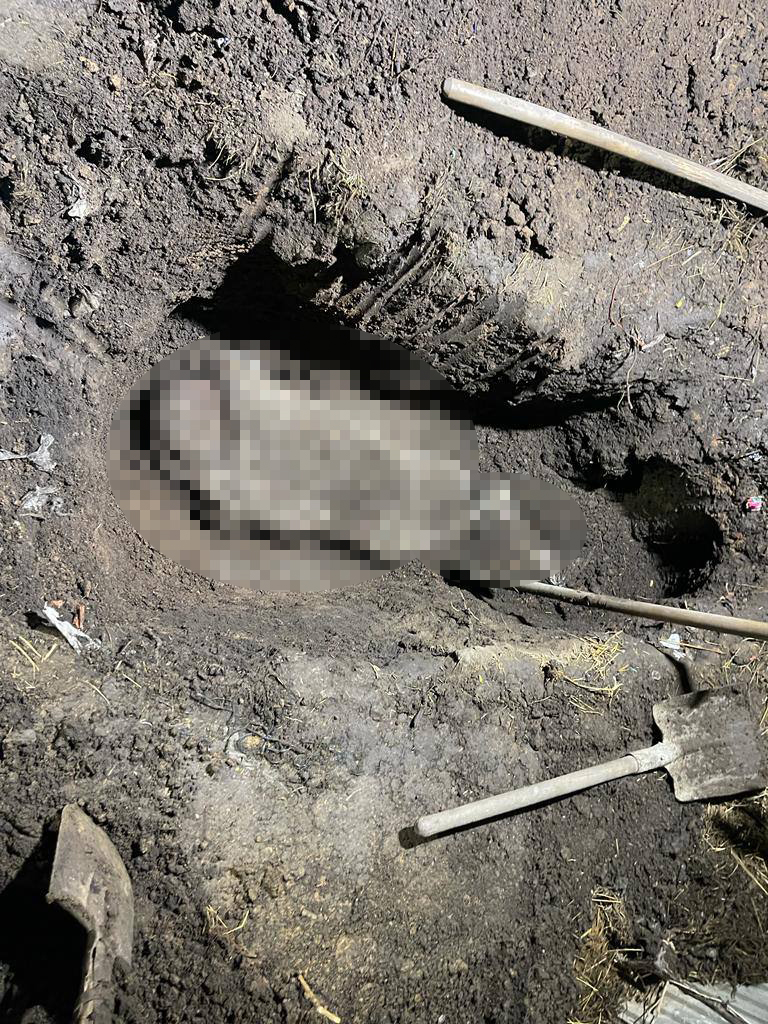 Шокуючий жорстокістю злочин: на Одещині правоохоронці знайшли вбитим розшукуваного чоловіка - його тіло закопали у палісаднику