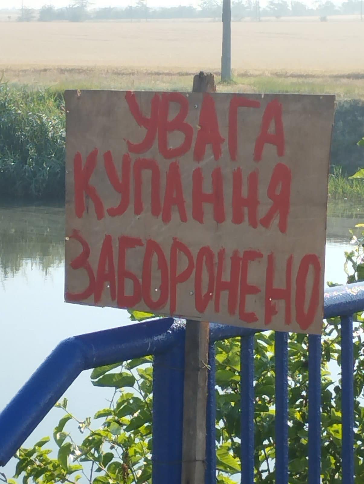 В одному з озер Білгород-Дністровського району знайдено збудник холери