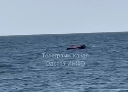 Жах! Так зараз виглядає узбережжя Чорного моря на Одещині