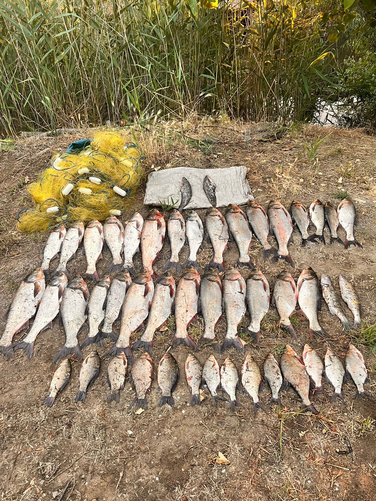 В Ізмаїльському районі затримали "на гарячому" рибного браконьєра, який наловив рибки на сотні тисяч гривень