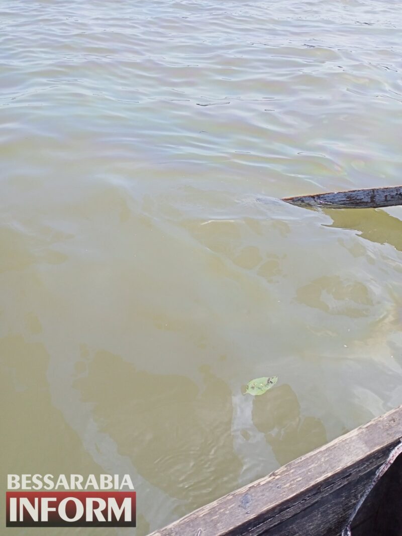 Дунайский биосферный заповедник в очередной раз подвергся загрязнению нефтепродуктами