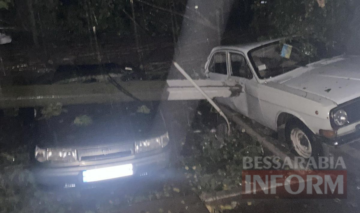 Вирвані з корнем дерева, розчавлені автівки, обірвані електромережі: на Кілію зрушилося справжнє стихійне лихо