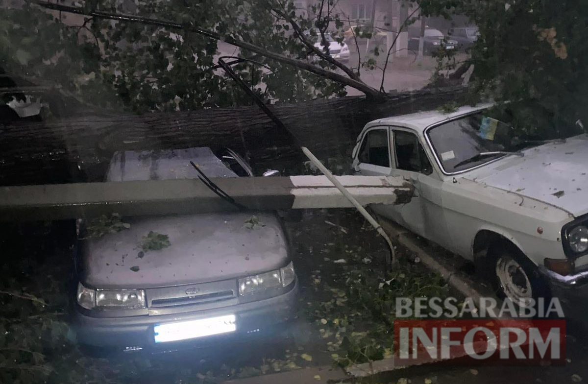 Вирвані з корнем дерева, розчавлені автівки, обірвані електромережі: на Кілію зрушилося справжнє стихійне лихо