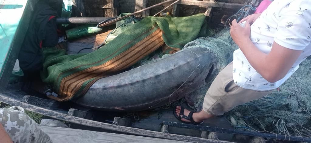Какая уголовная ответственность грозит пяти жителям Измаильщины за незаконный лов рыбы