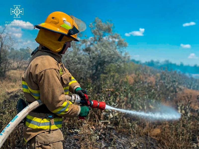 Одещина горит: на этой неделе в регионе уничтожено почти 100 тысяч м² природных экосистем и сухой растительности