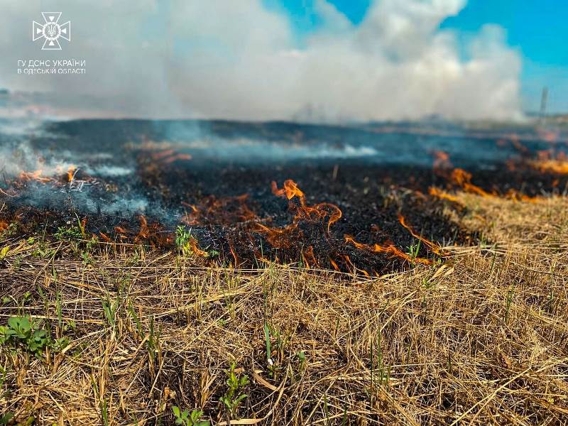 Одещина палає: цього тижня в регіоні знищено майже 100 тисяч м² природних екосистем та сухої рослинності