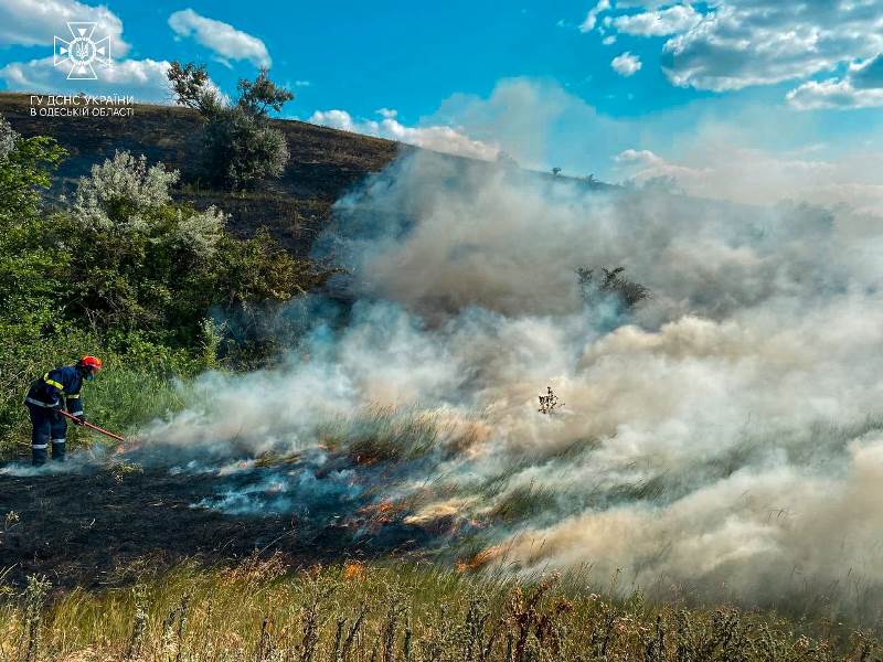 Одещина палає: цього тижня в регіоні знищено майже 100 тисяч м² природних екосистем та сухої рослинності