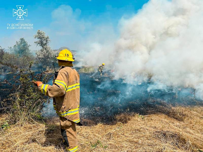 Одещина горит: на этой неделе в регионе уничтожено почти 100 тысяч м² природных экосистем и сухой растительности